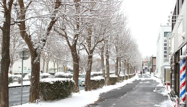 つくば市の理容室（床屋）メンズヘアーLA-R雪の並木道