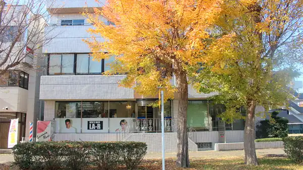 東大通りからのトウカエデ紅葉の景観写真